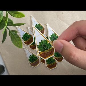 3/$20 Vinyl Glossy Sticker | Succulent Plant Sticker |